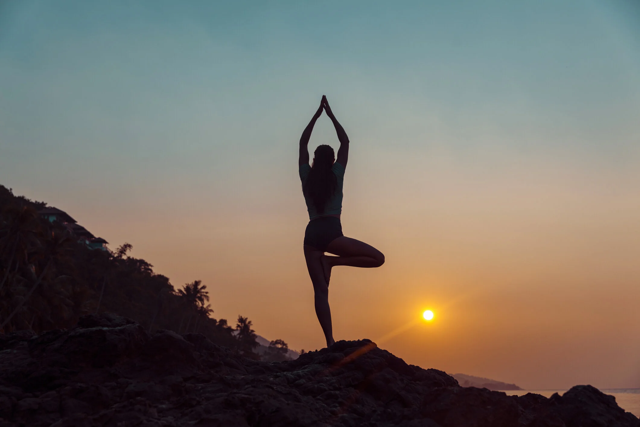 Woman Tree Pose Sunset.jpg