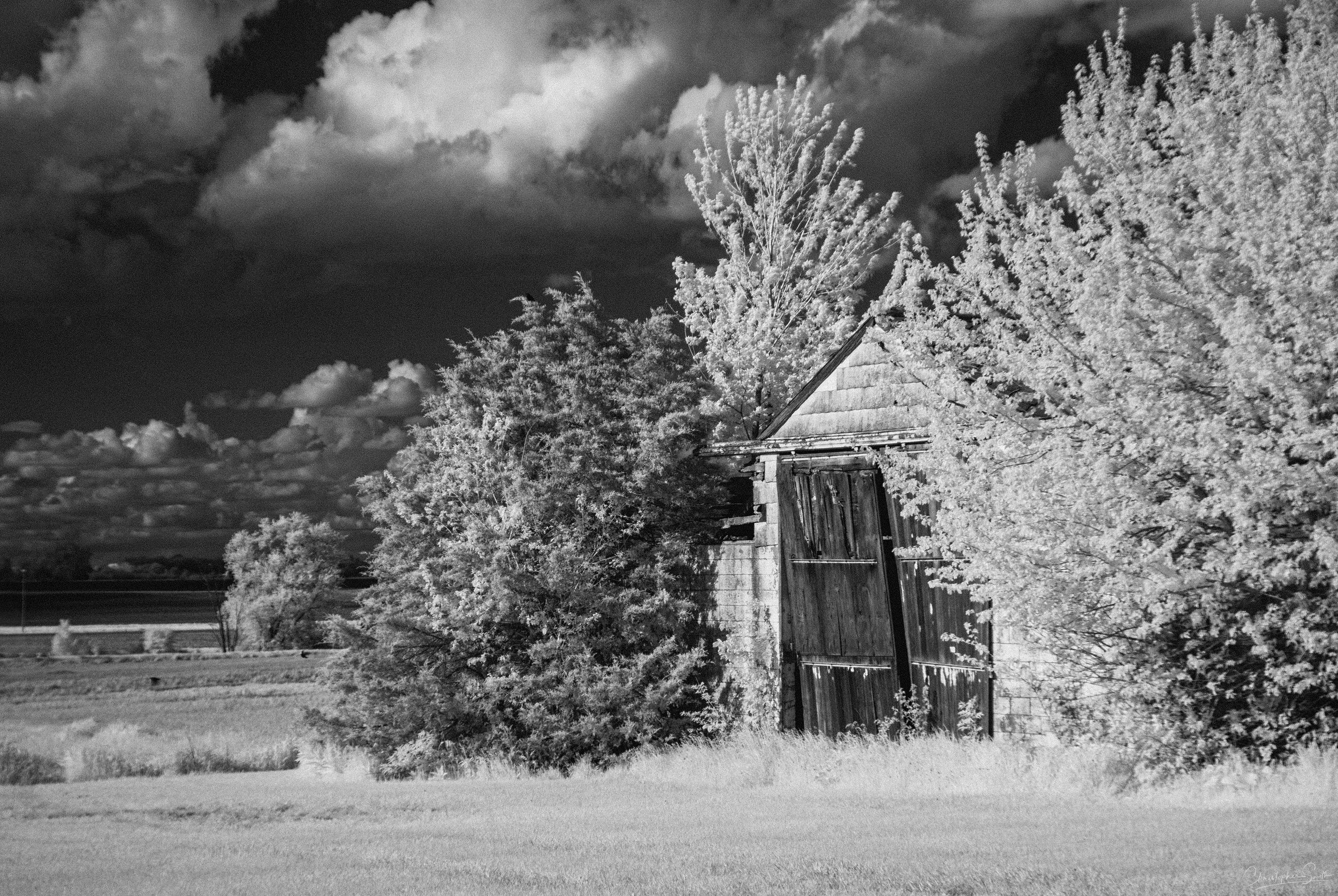 DSC_0083-Edit copy.jpg