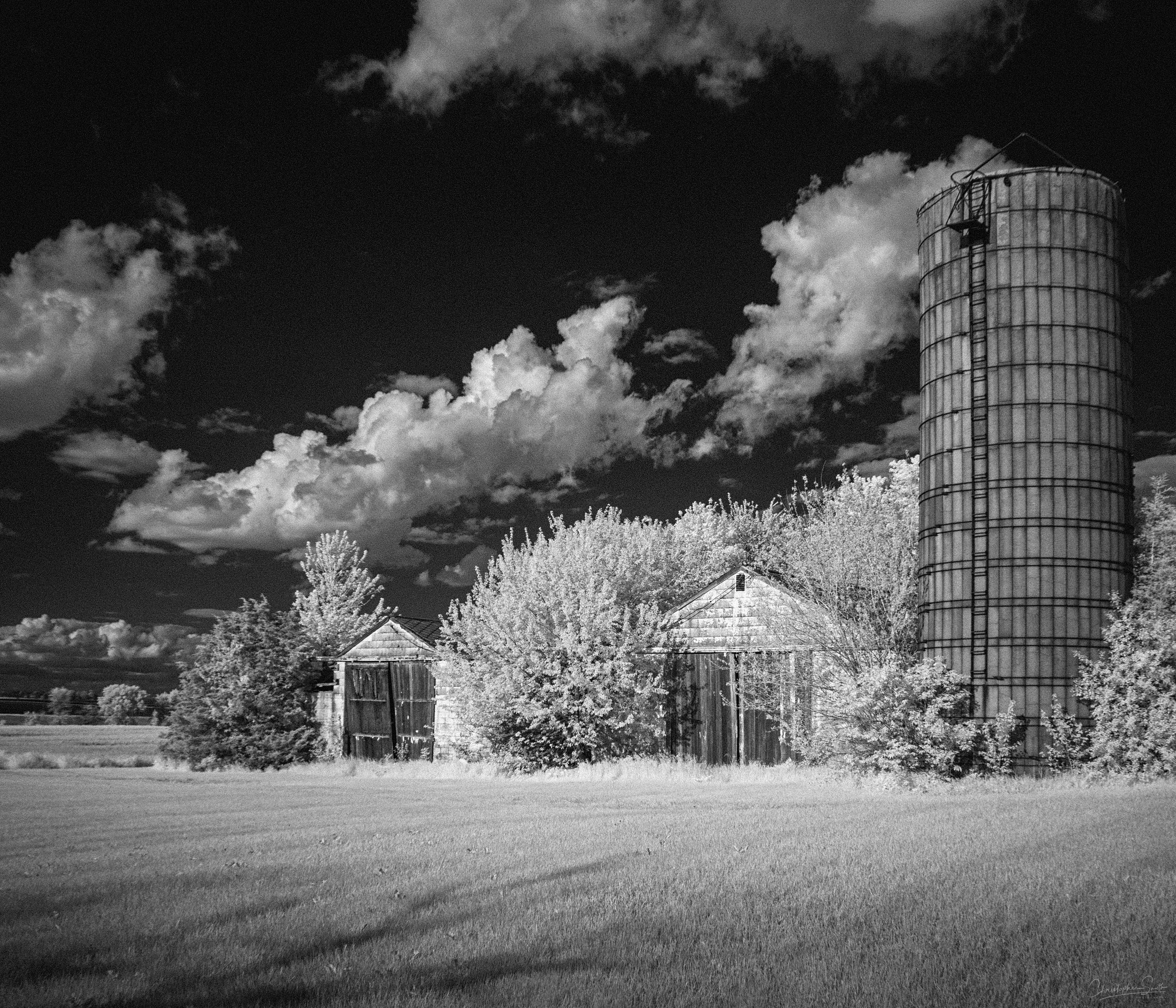 DSC_0055-Edit copy.jpg
