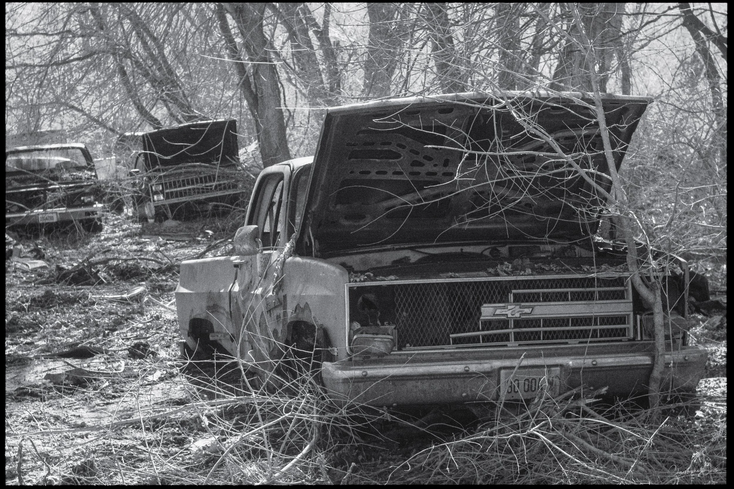 Fujifilm X-T3 IR 720nm Converted