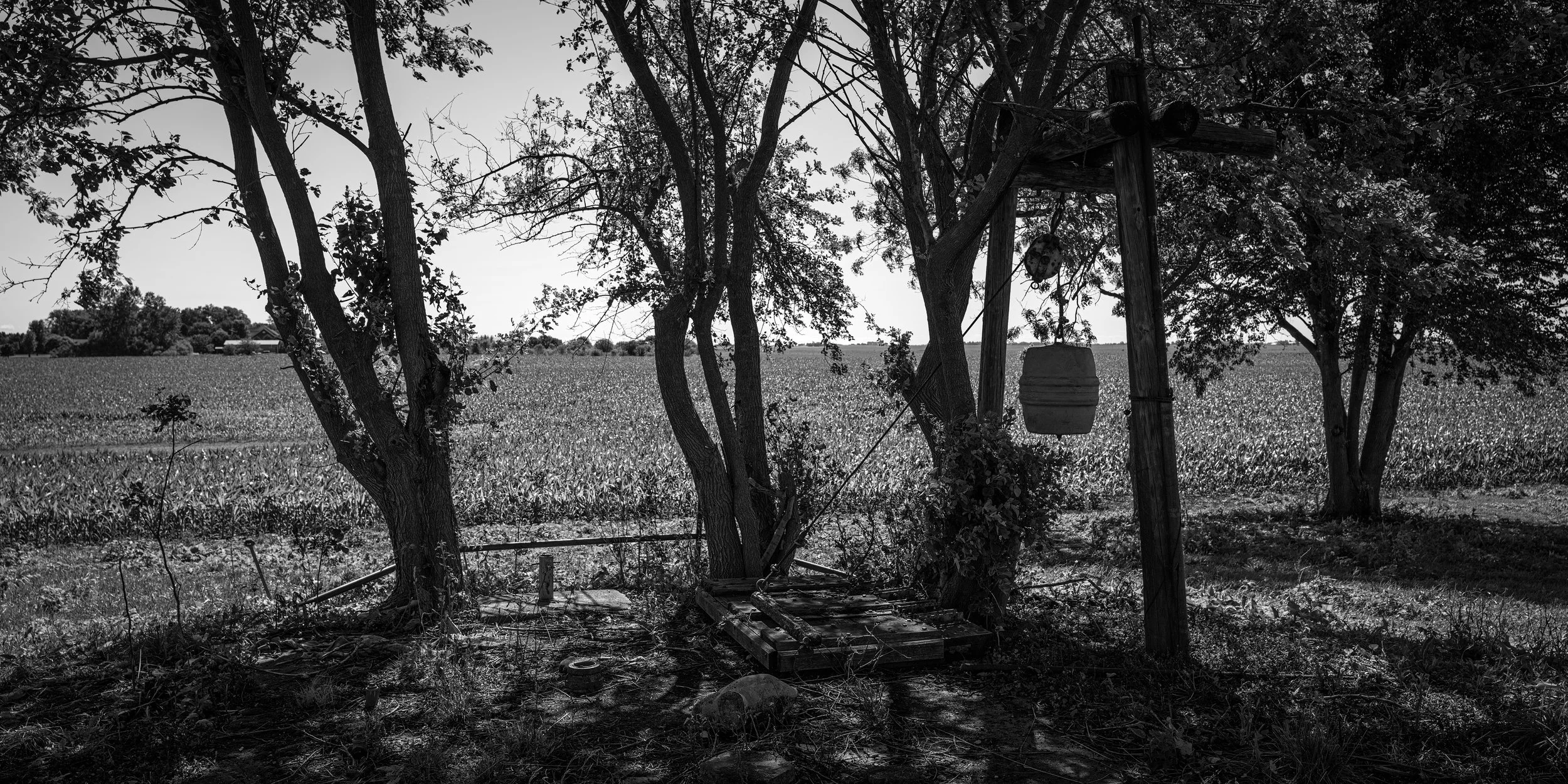 L1000181-Edit copySMALL.jpg