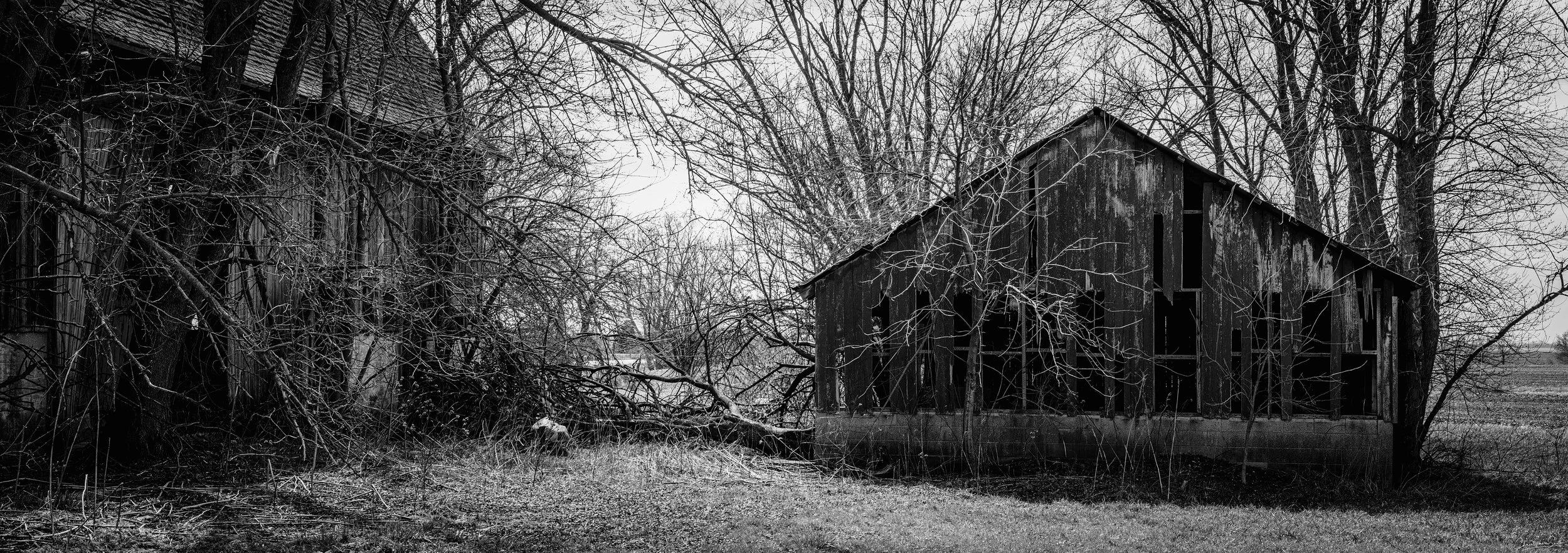 DSCF4680-Edit copySMALL.jpg