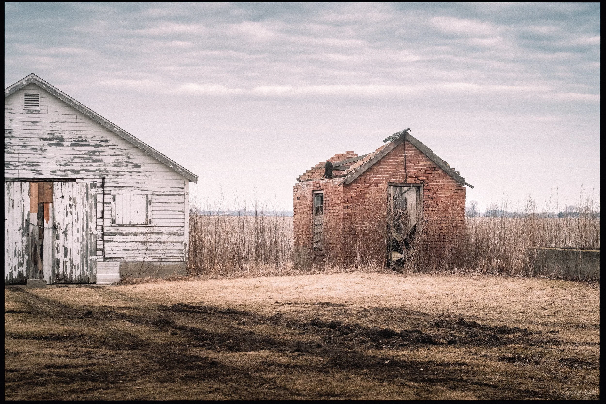 FujiFilm X-Pro 2 | 50mm 