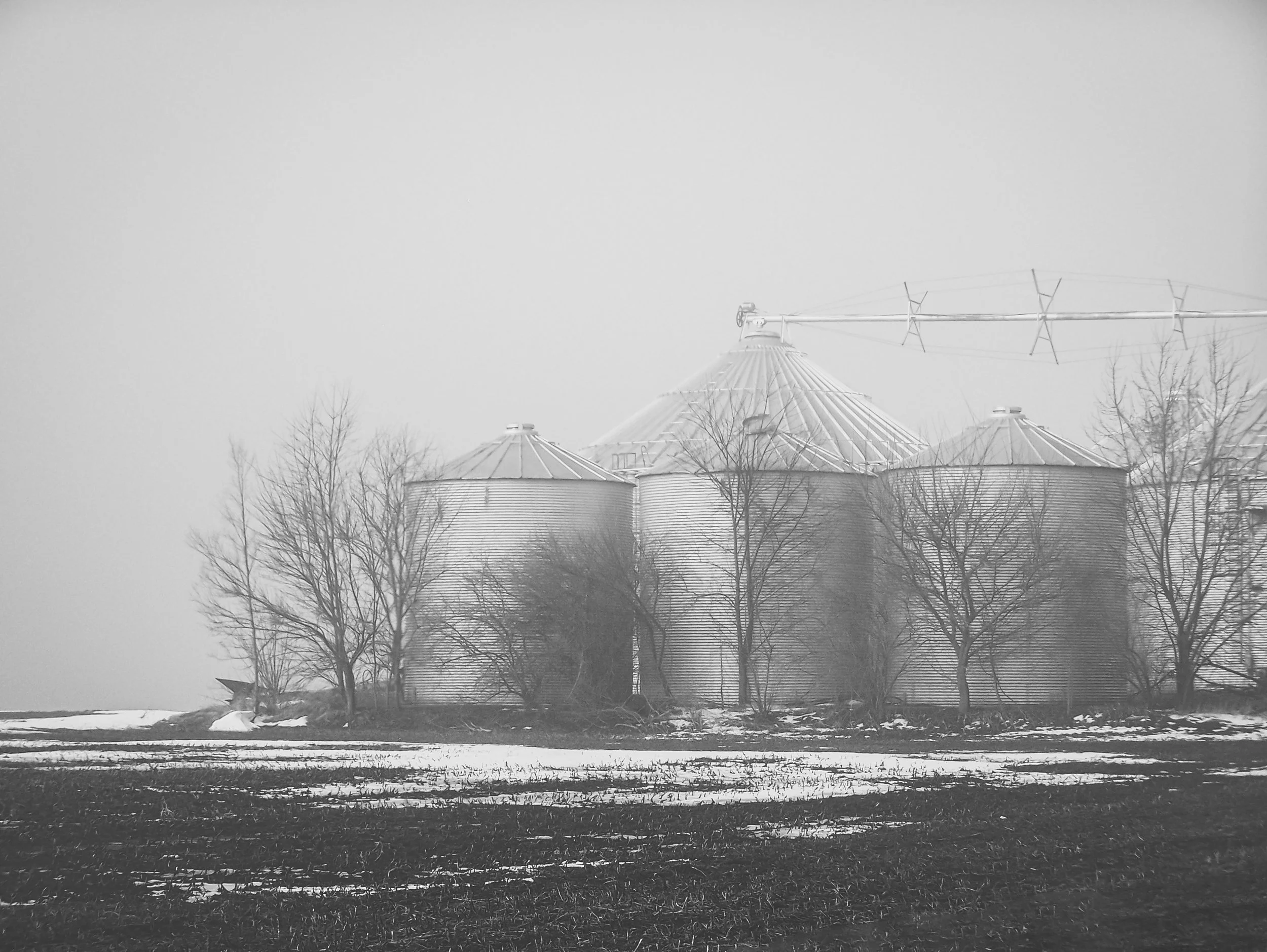104_1696-Edit copy.jpg