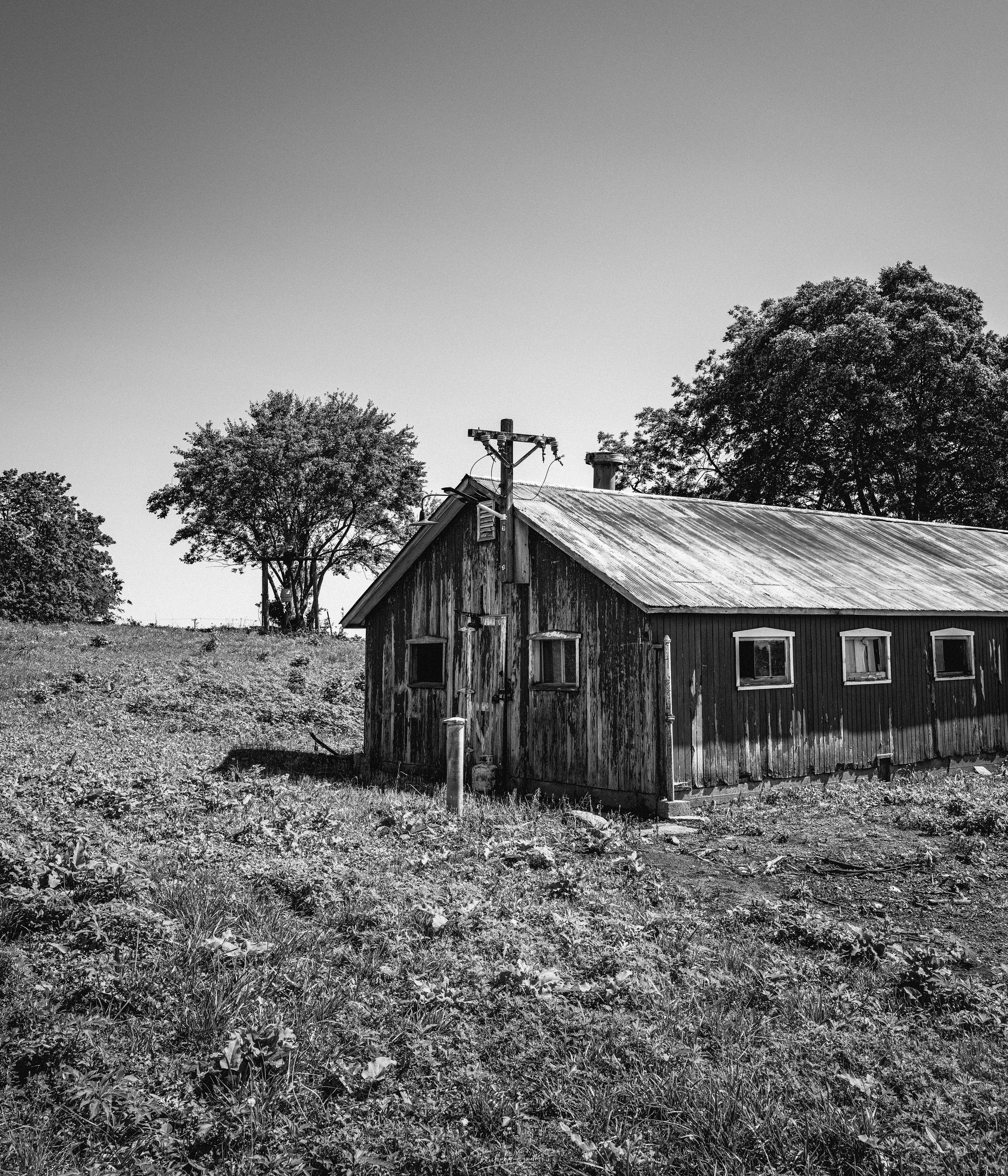 L1000159-Edit copySMALL.jpg