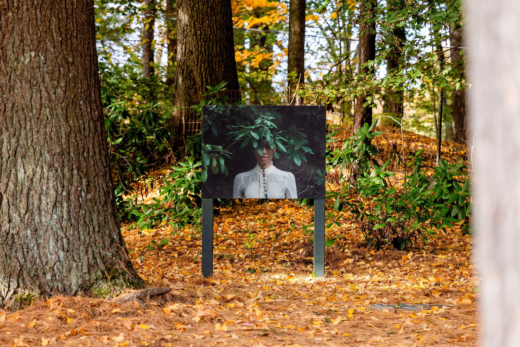 deCordova Sculpture Park and Museum, Lincoln 2025