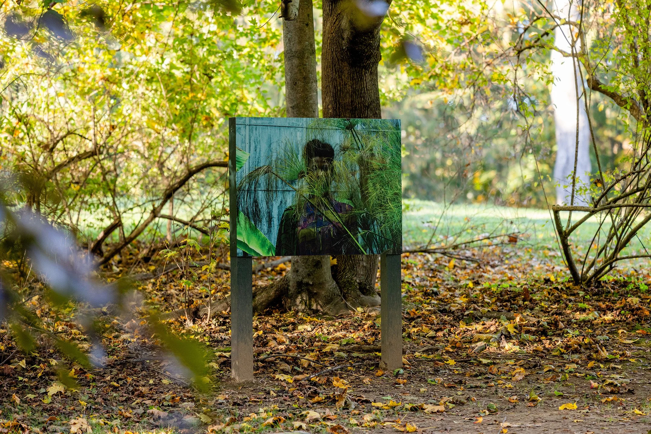 deCordova Sculpture Park and Museum, Lincoln 2025