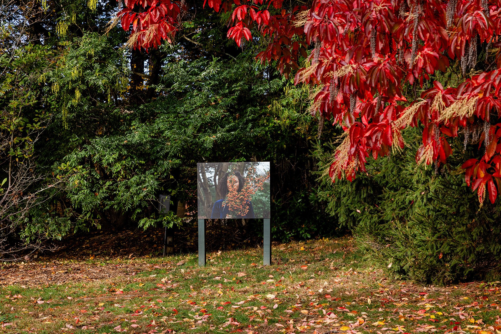 deCordova Sculpture Park and Museum, Lincoln 2025