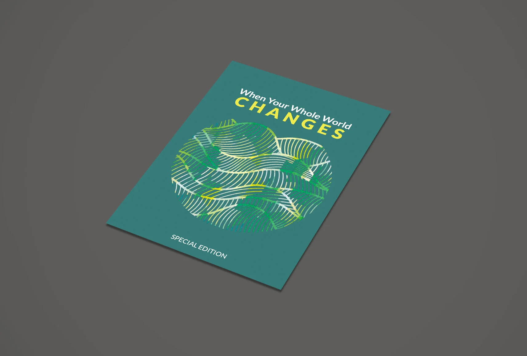 When Your Whole World Changes – COVID-19 Special Edition - HDI partnered with Biblica to create this devotional to help people deal with the crisis of the coronavirus pandemic, available now in 31 languages.