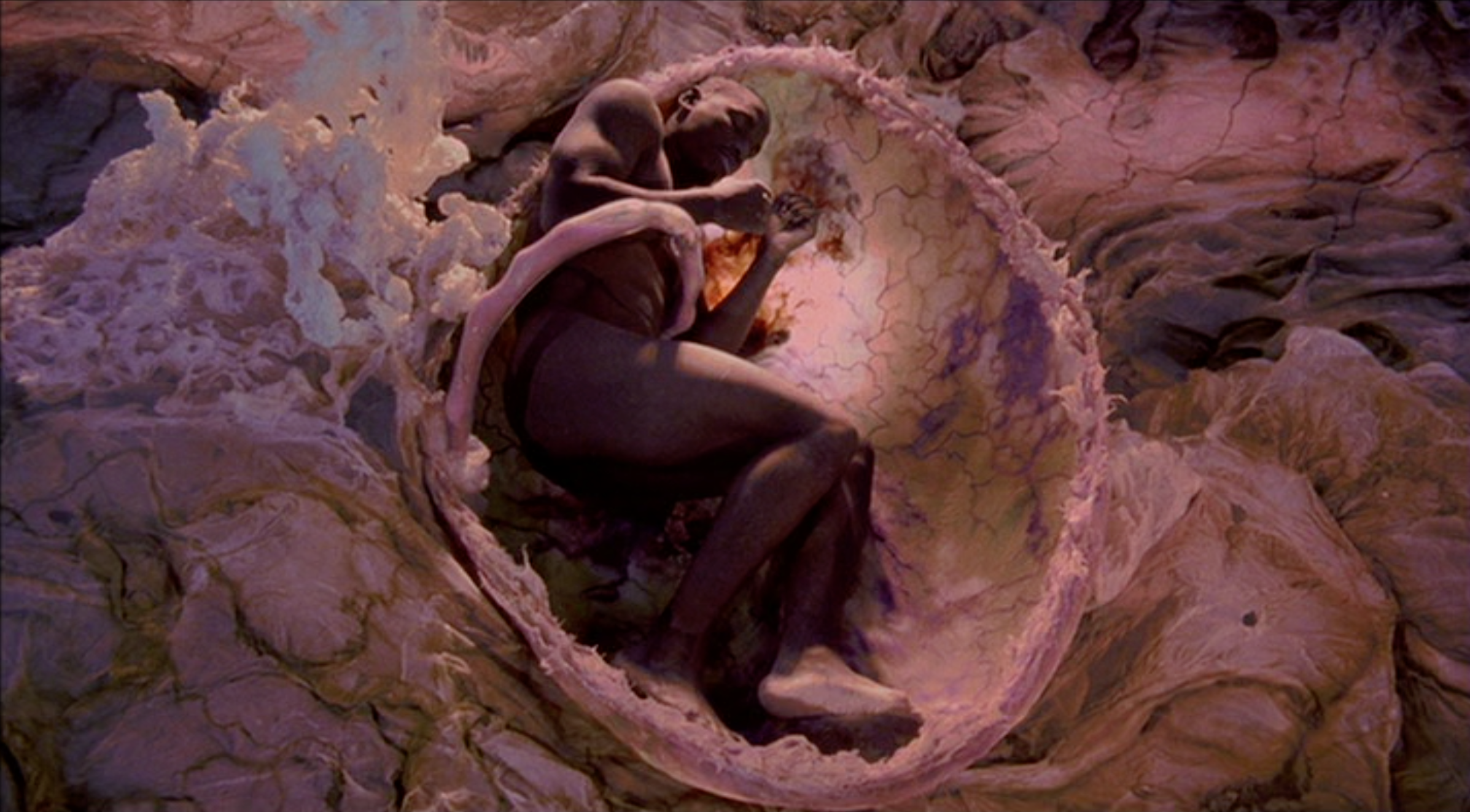 Directrospective: BABY BOY </em>(2001)