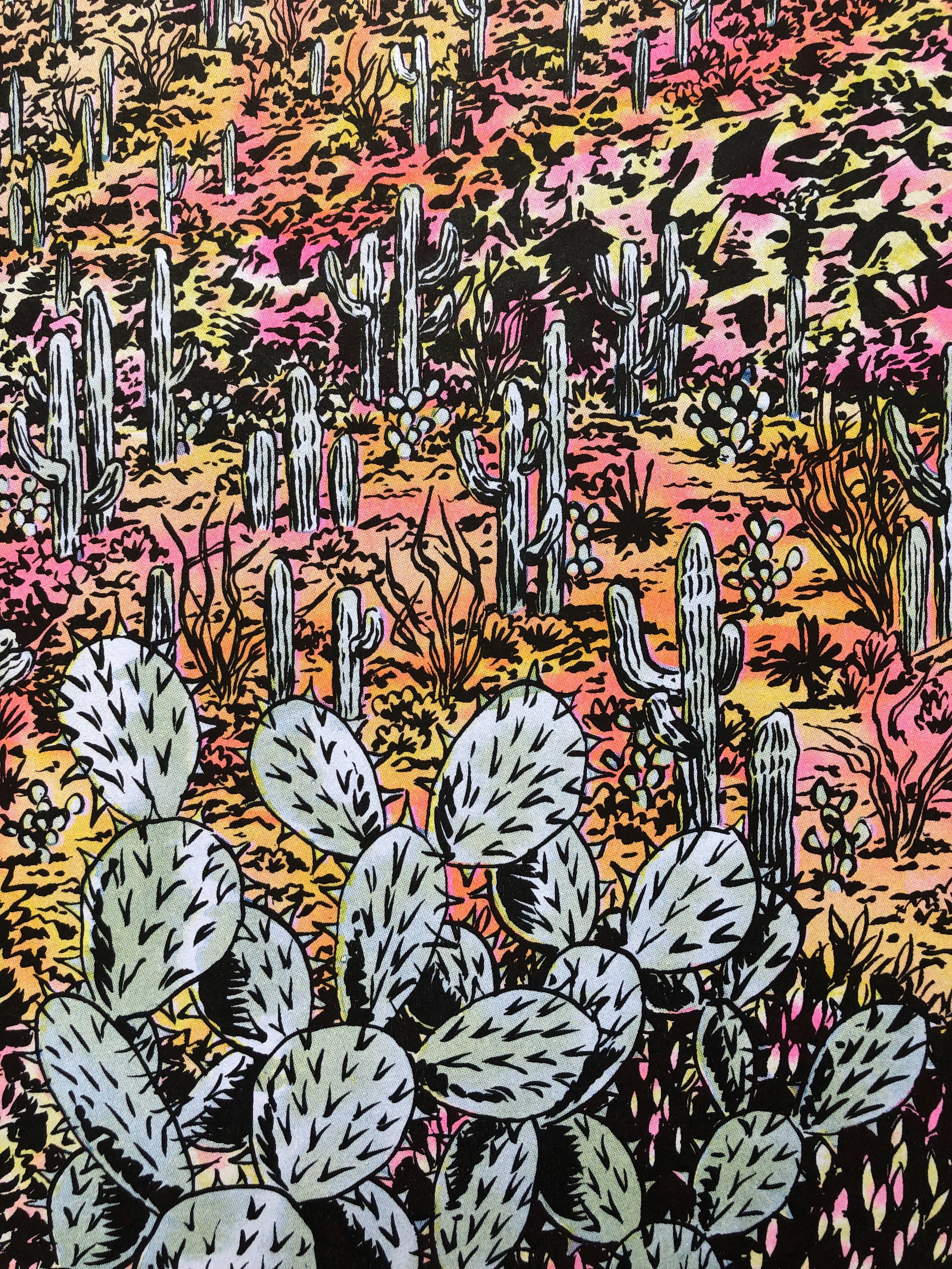 DESERTDETAIL2.jpg