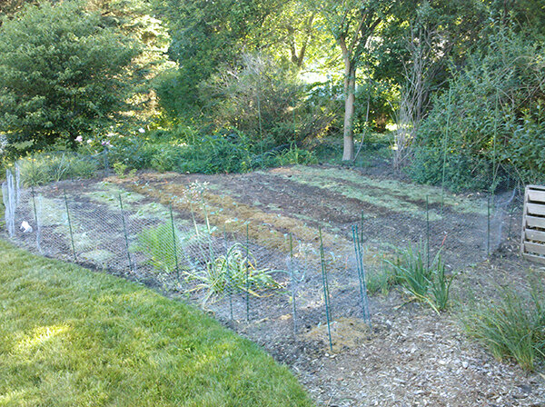 The first garden grows…