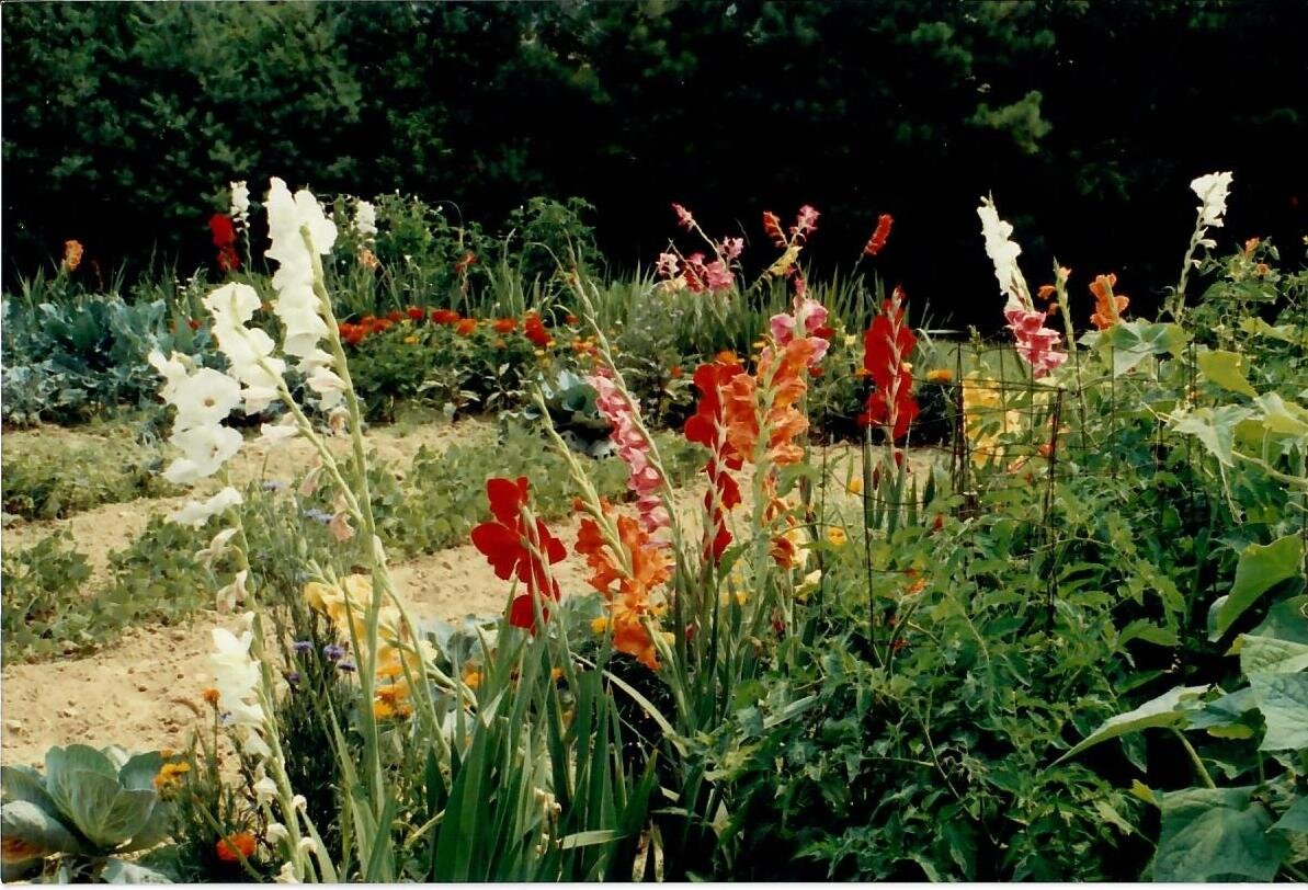 Glads