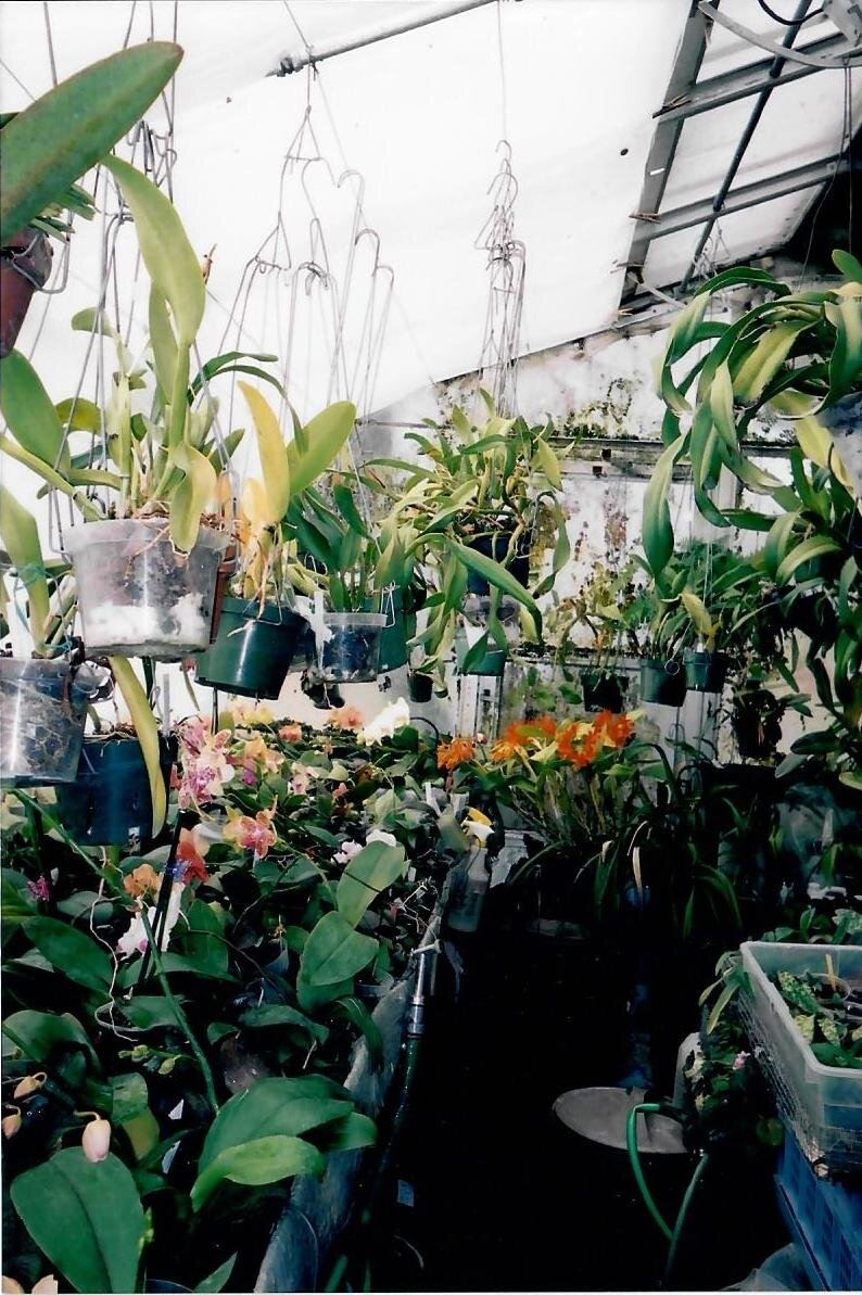 Plant Paradise