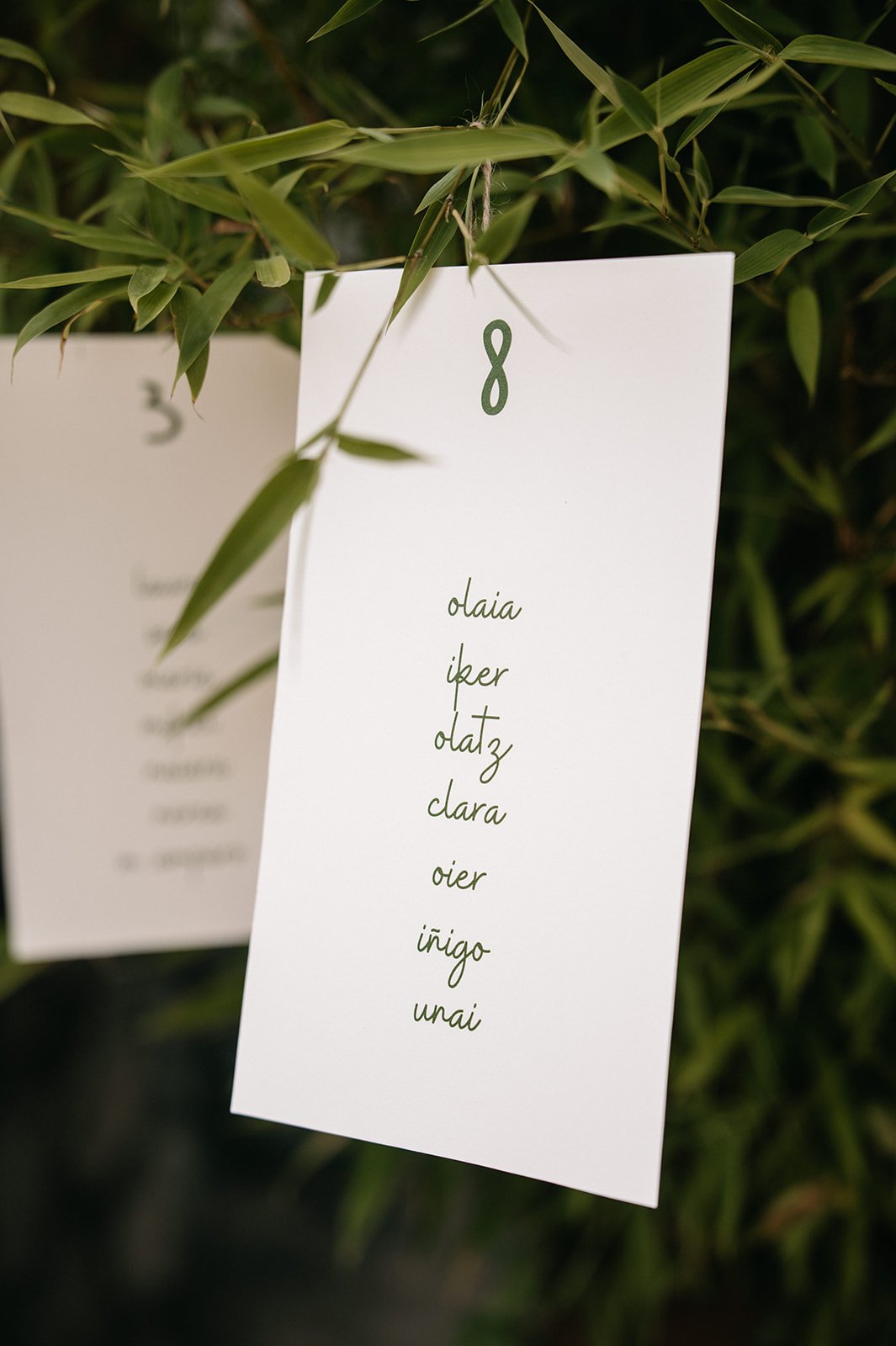 Vanesa + Jon Ezkontza1199_websize.jpg