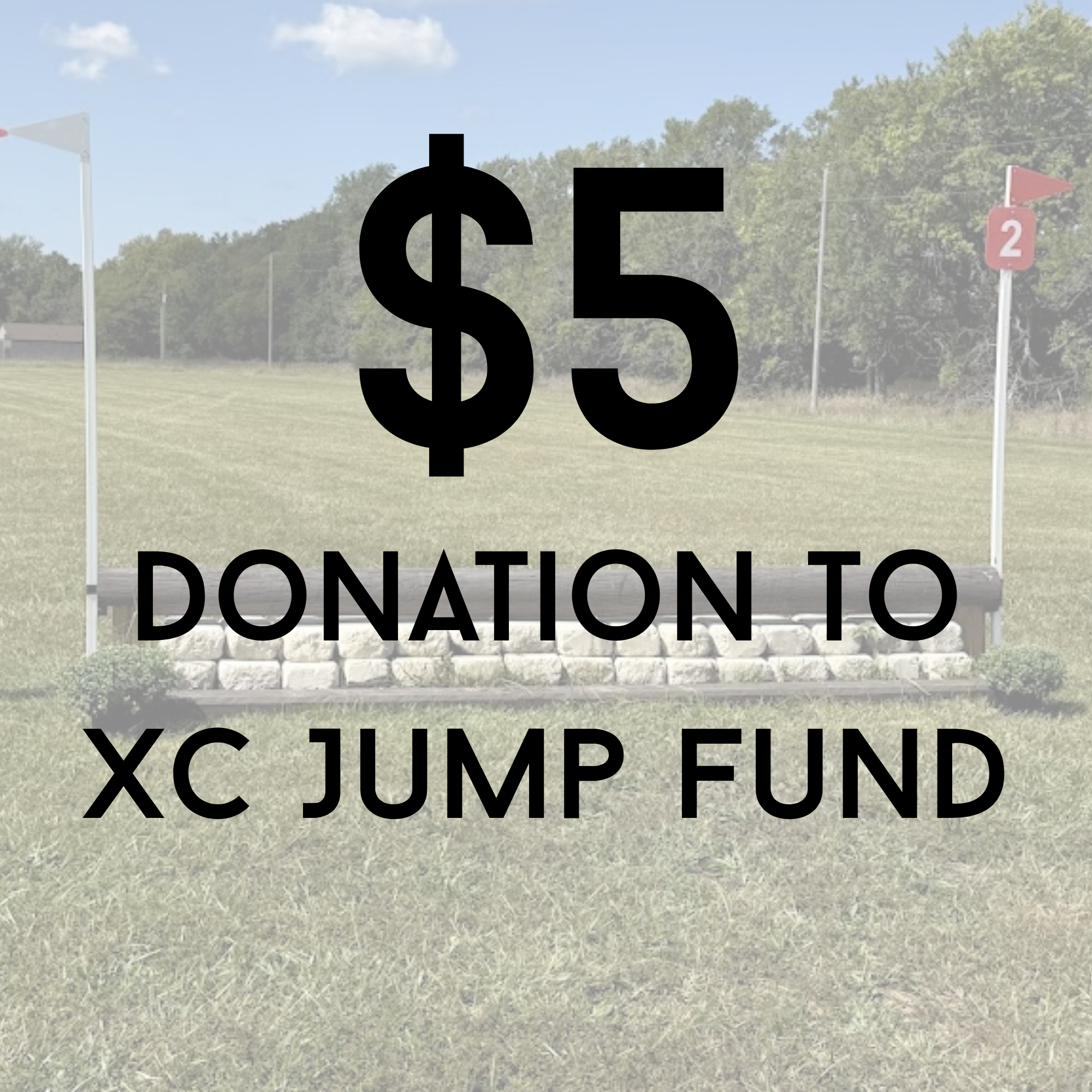I'd like to contribute $5 to help support future XC jumps and repairs