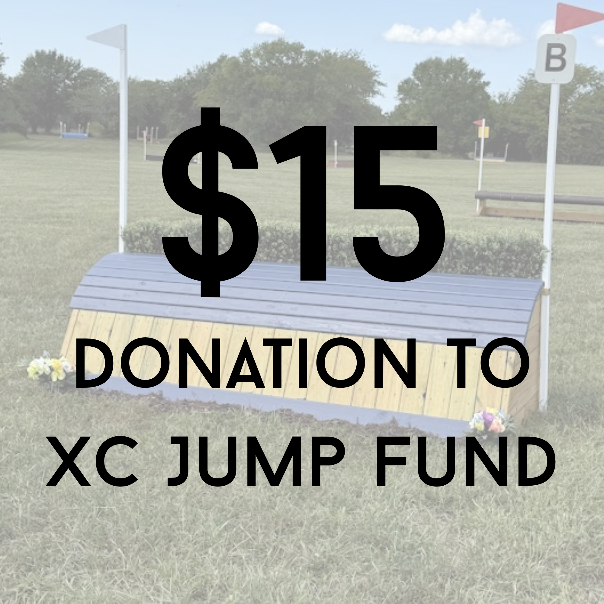 I'd like to contribute $15 to help support future XC jumps and repairs