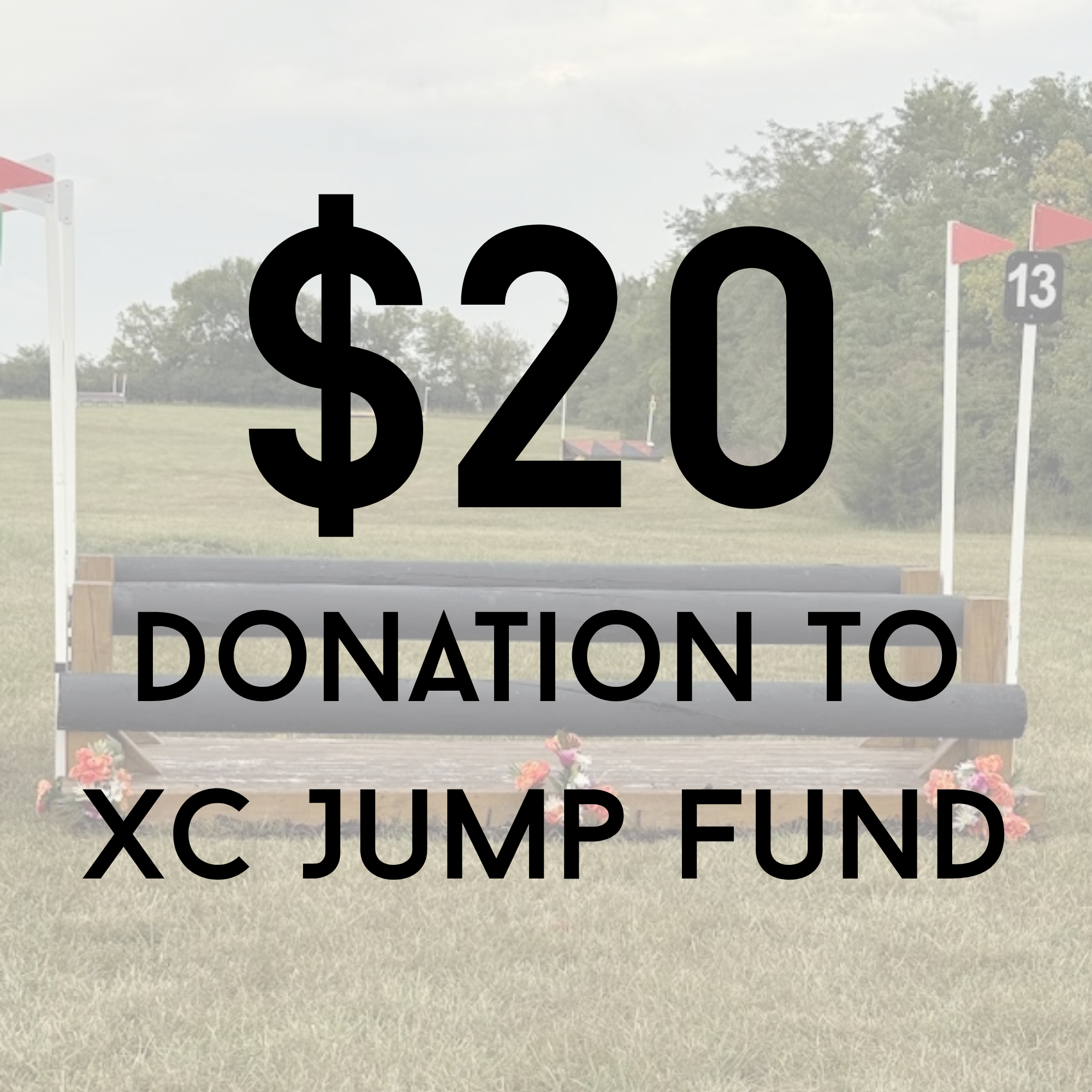 I'd like to contribute $20 to help support future XC jumps and repairs