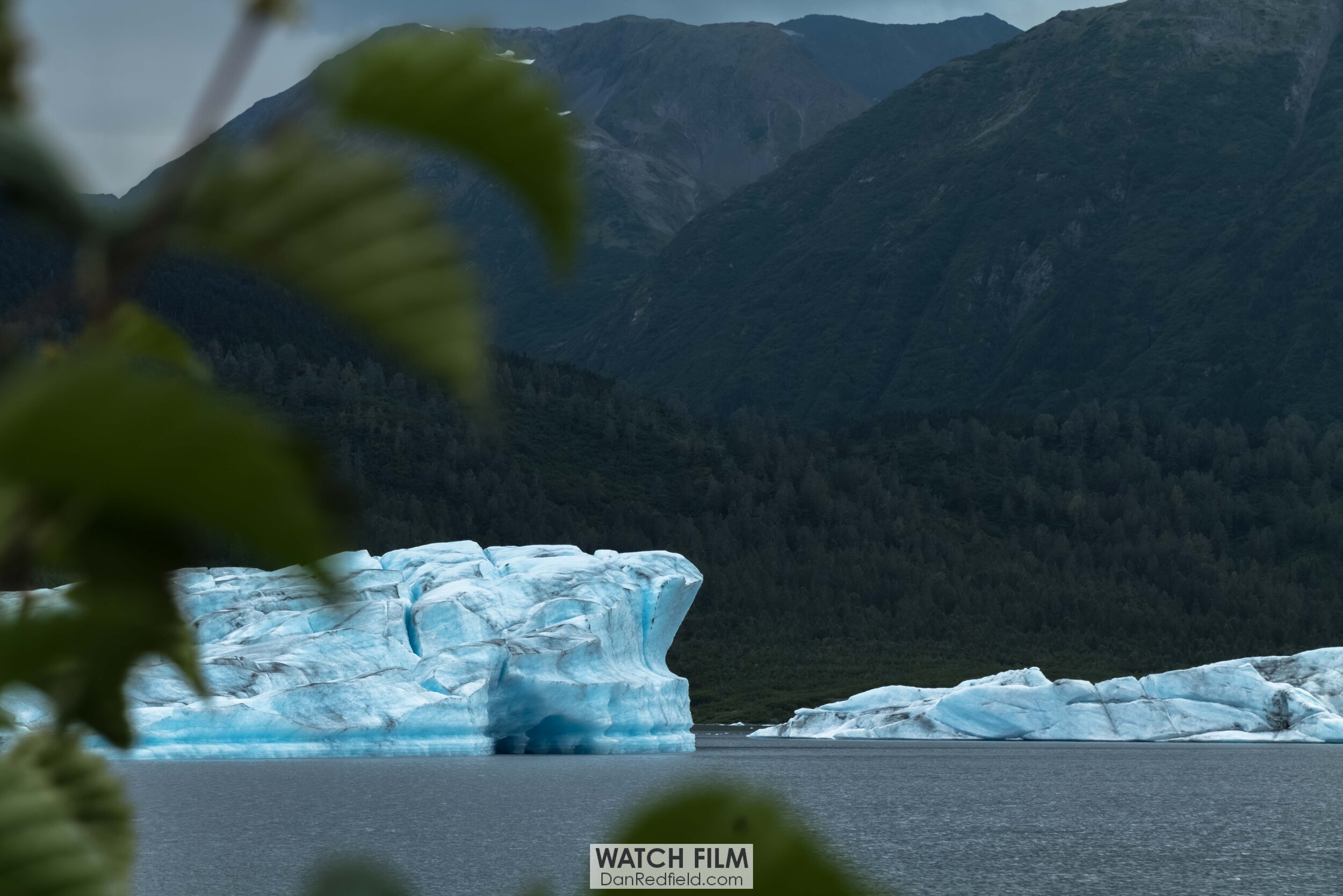specer glacier alaska.jpg