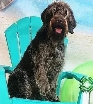 aspenbeachball.jpg