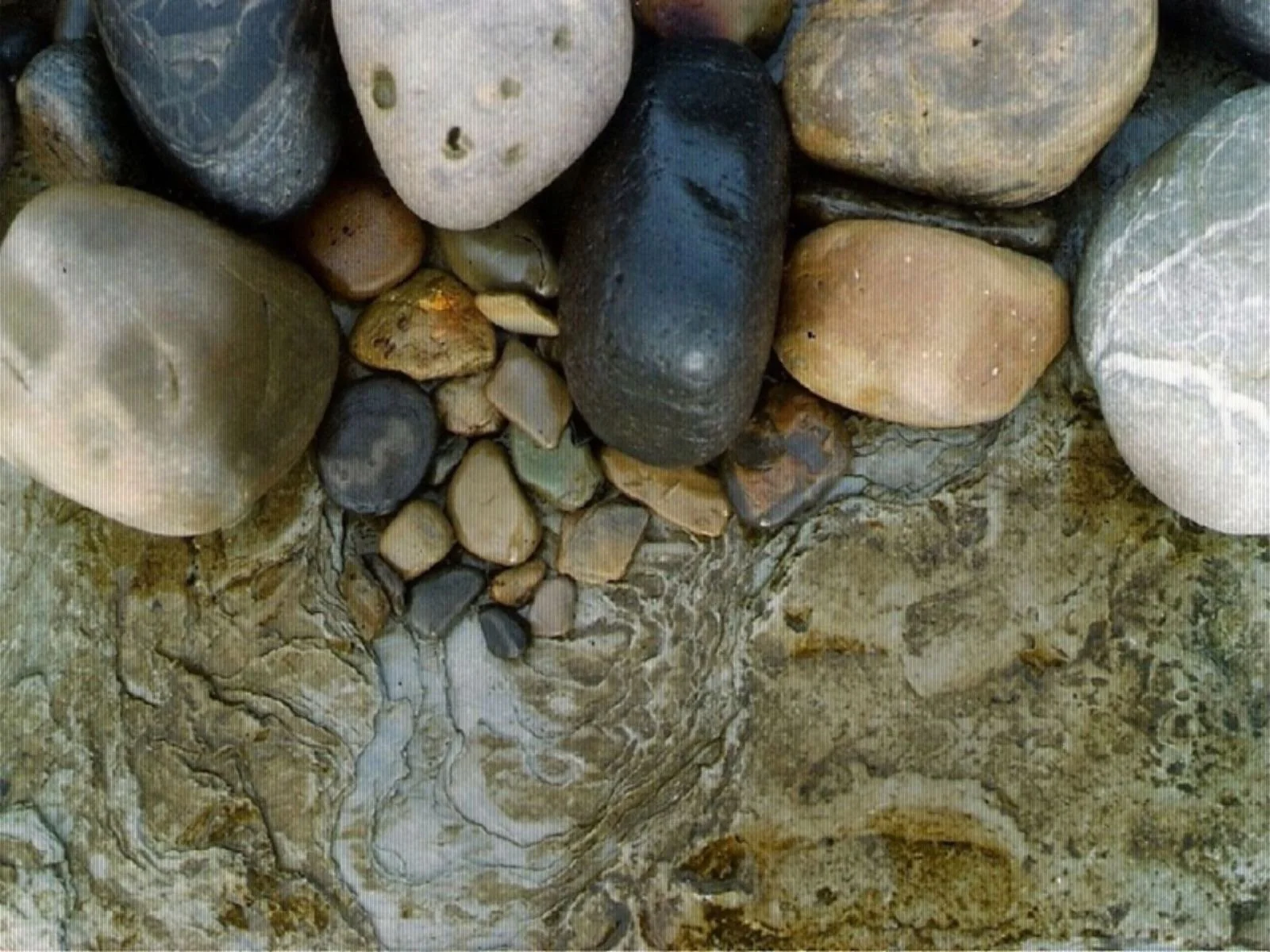 Clustering pebbles show a bouquet of colours and shapes gathering at the top of the frame.