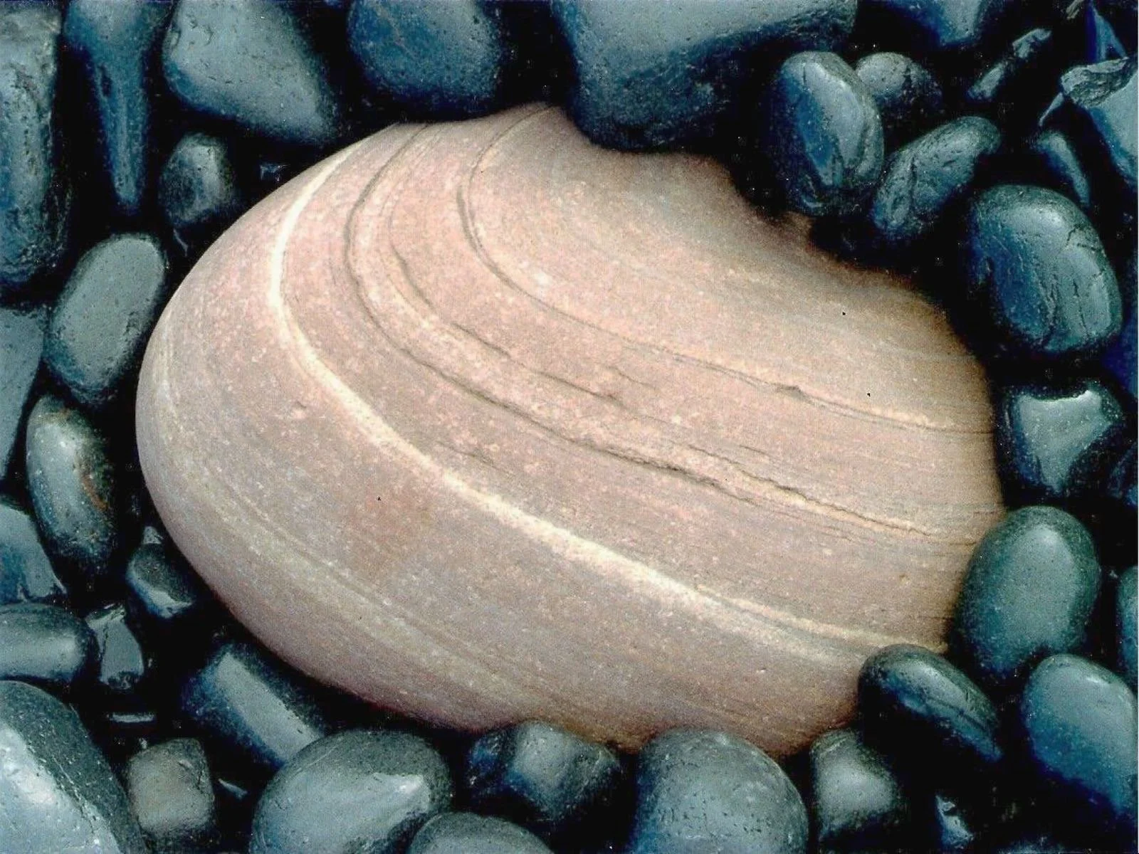 A massive light pink stone with streaking layers of white juts out of a crowed of shiny black peoples. The peoples are either crowning the larger stone in adoration or attempting to devour it.