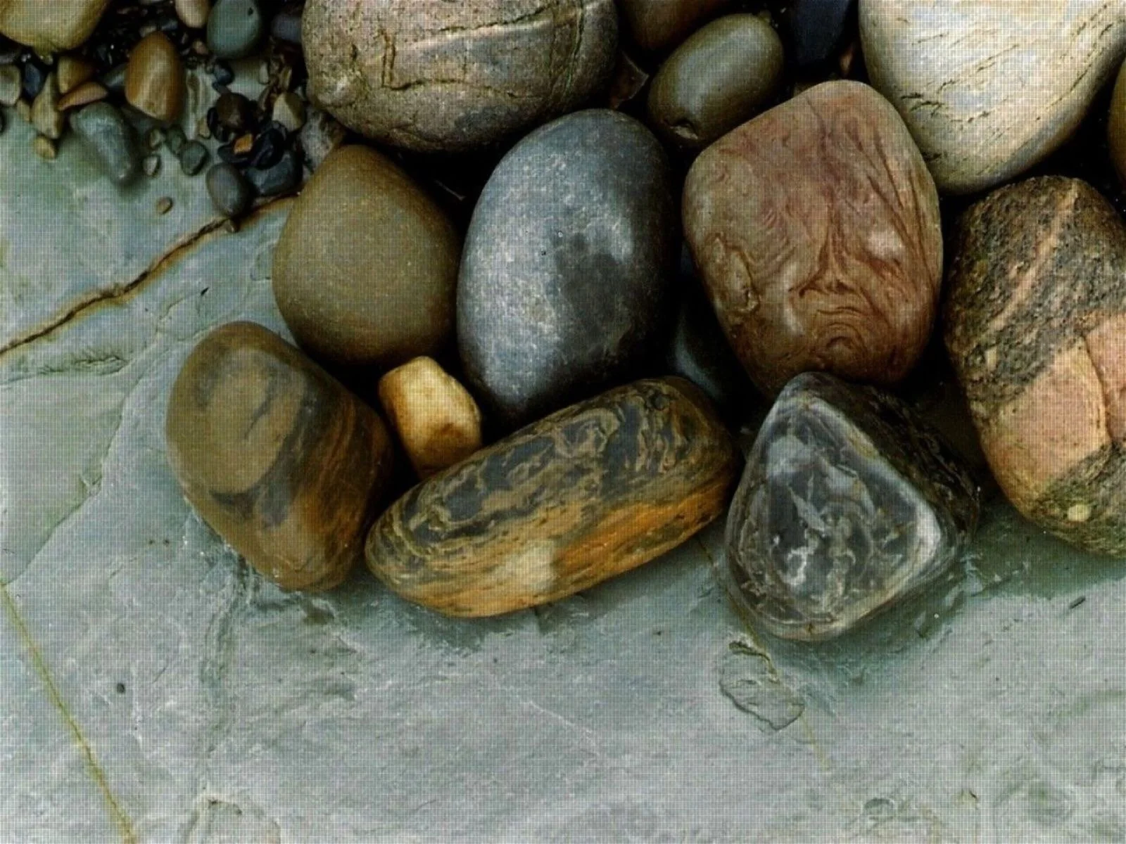 Grouped larger rocks, each containing many colours and layers sit in a nonchalant pile, barely touching. Each independent of the other and yet intimately connected.