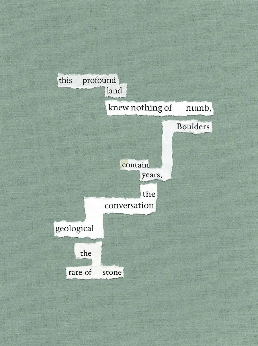 found poem assembled from torn fragments of. Text: "This profound land knew nothing of numb, boulders contain years, the conversation geological the rate of stone" green wall paper is being ripped slowly to reveal each word trailing down the page