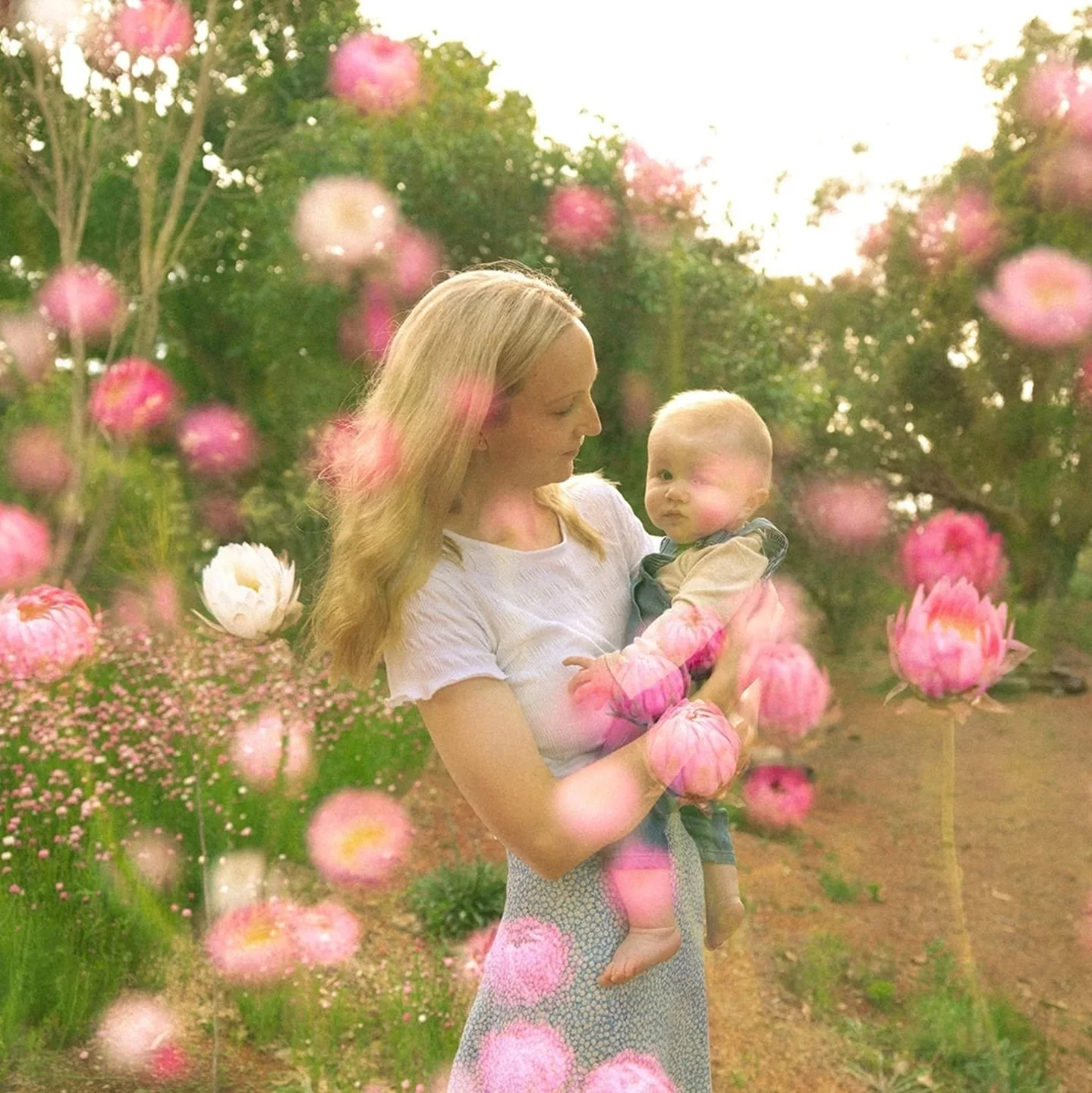 Family story telling session of a little walk through the Botanical Gardens, followed by a cuppa and slow relax at home 🏡 
A lovely peaceful slow weekend morning with this loving little fam.
Sneak peaks. 
So grateful to my beautiful clients, I reall