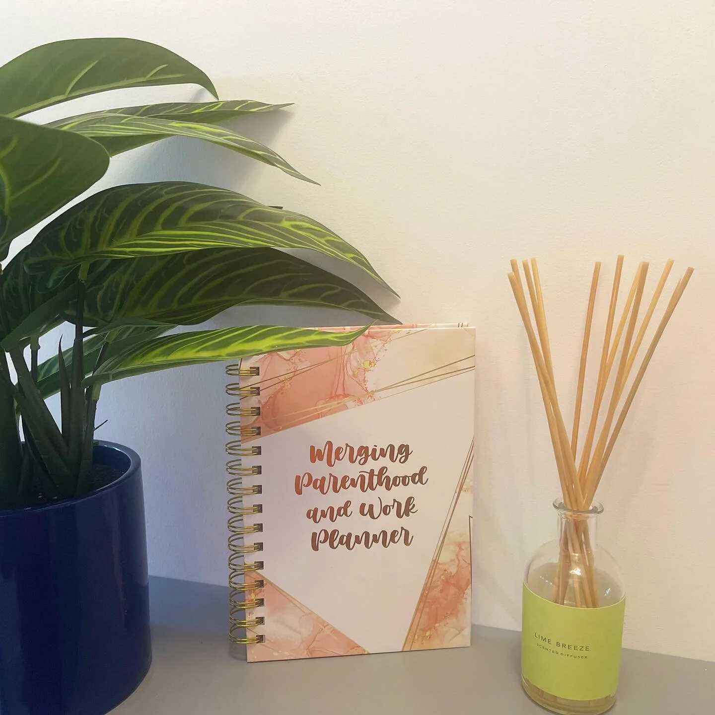 With less than 2 weeks to the close of 2022, there is no better time to start setting your goals and putting plans in place to smash them in 2023.

Our merging parenthood and Work planners is one step in the right direction to helping you achieve you