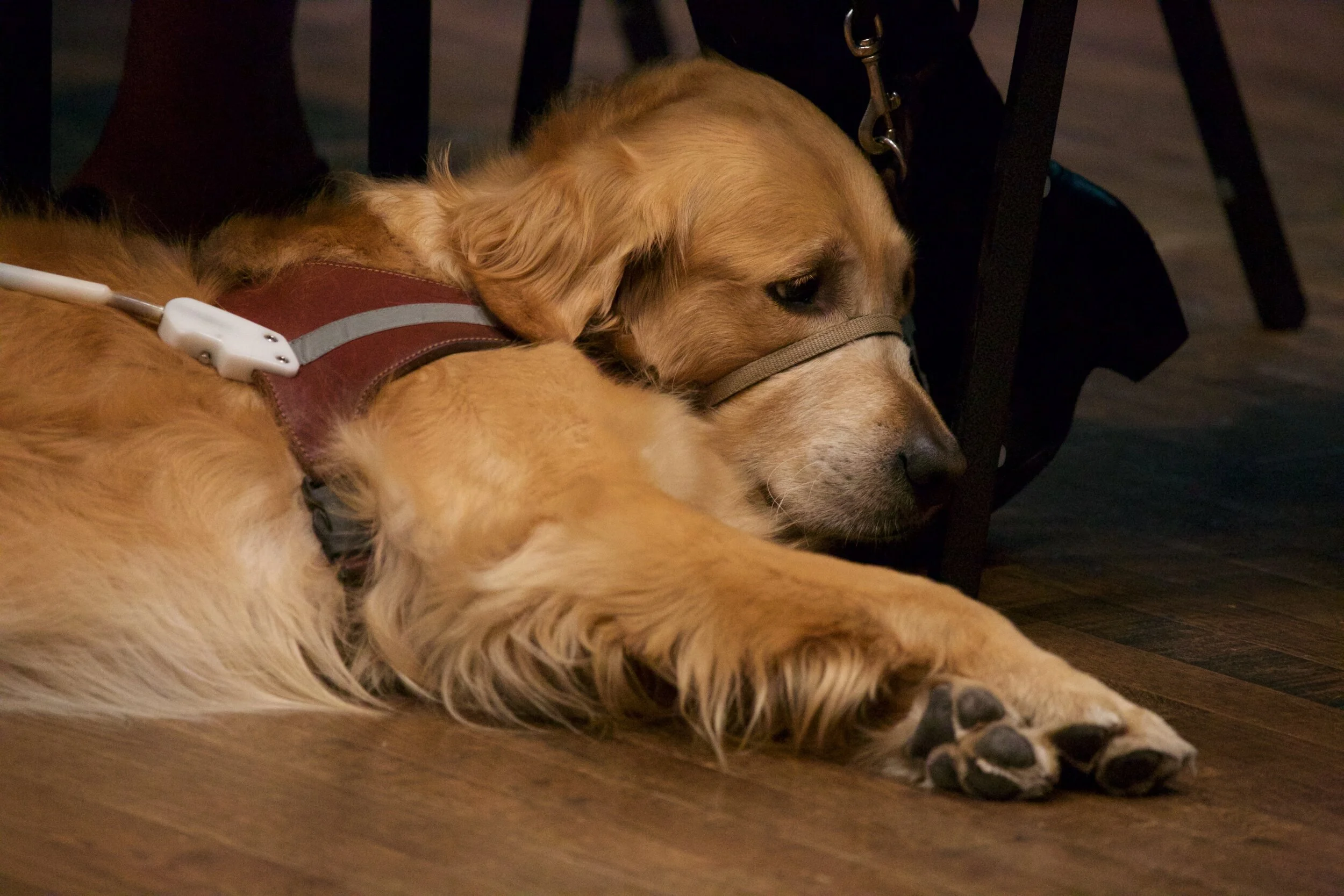 Resources — Seattle Cultural Accessibility Consortium