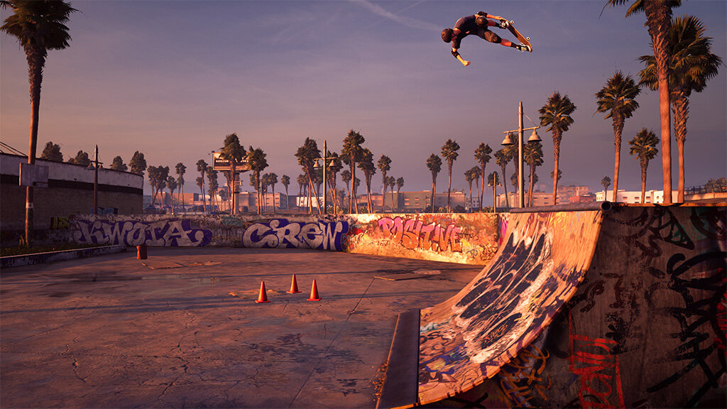 Tony-Hawk-ProSkater-1_THawk.jpg