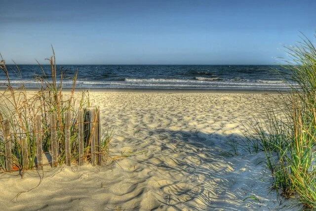 Beach.jpg