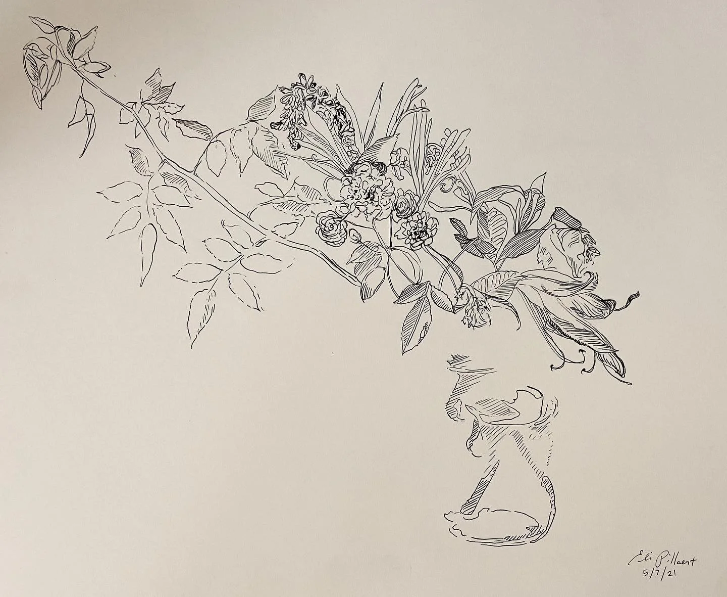 2021 - Magnolia Wilt.jpg