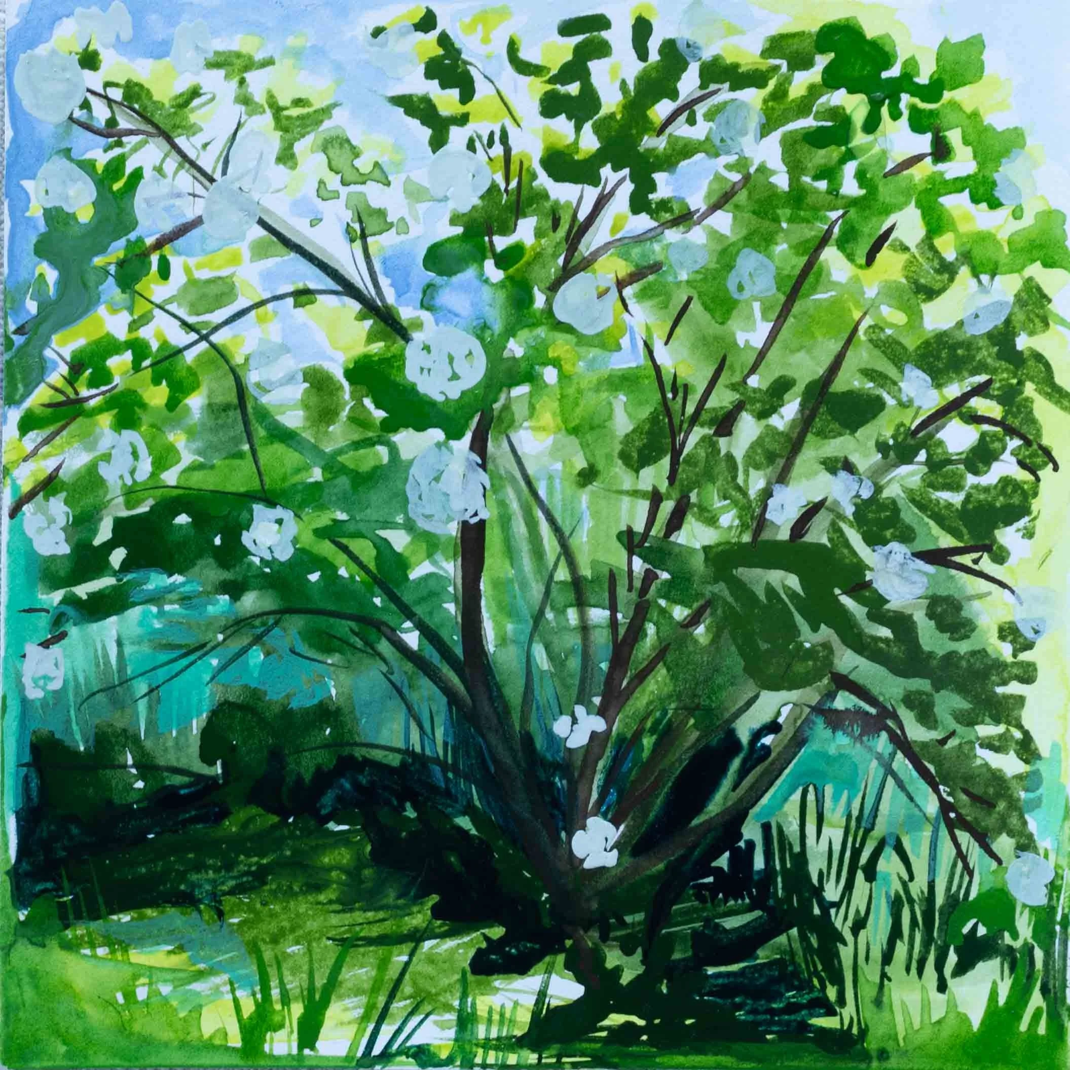 25_PomPomTrees.jpg