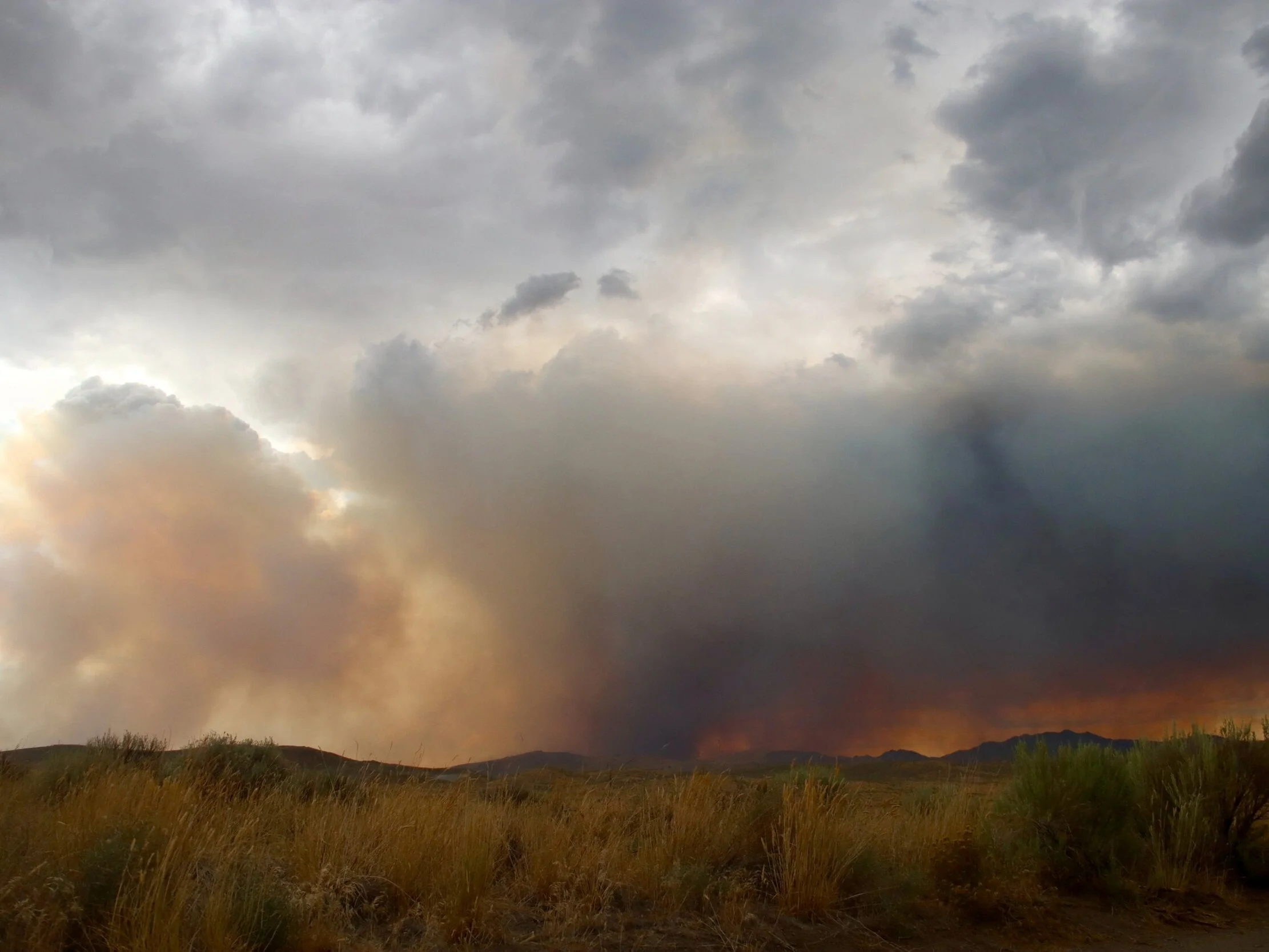 firefighters wind meter
