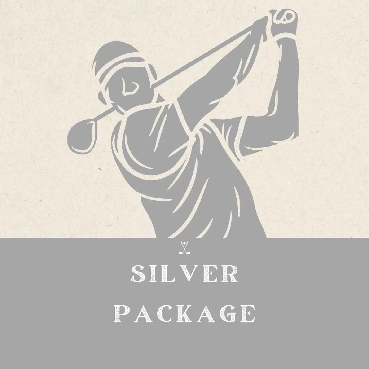 Silver Business Package