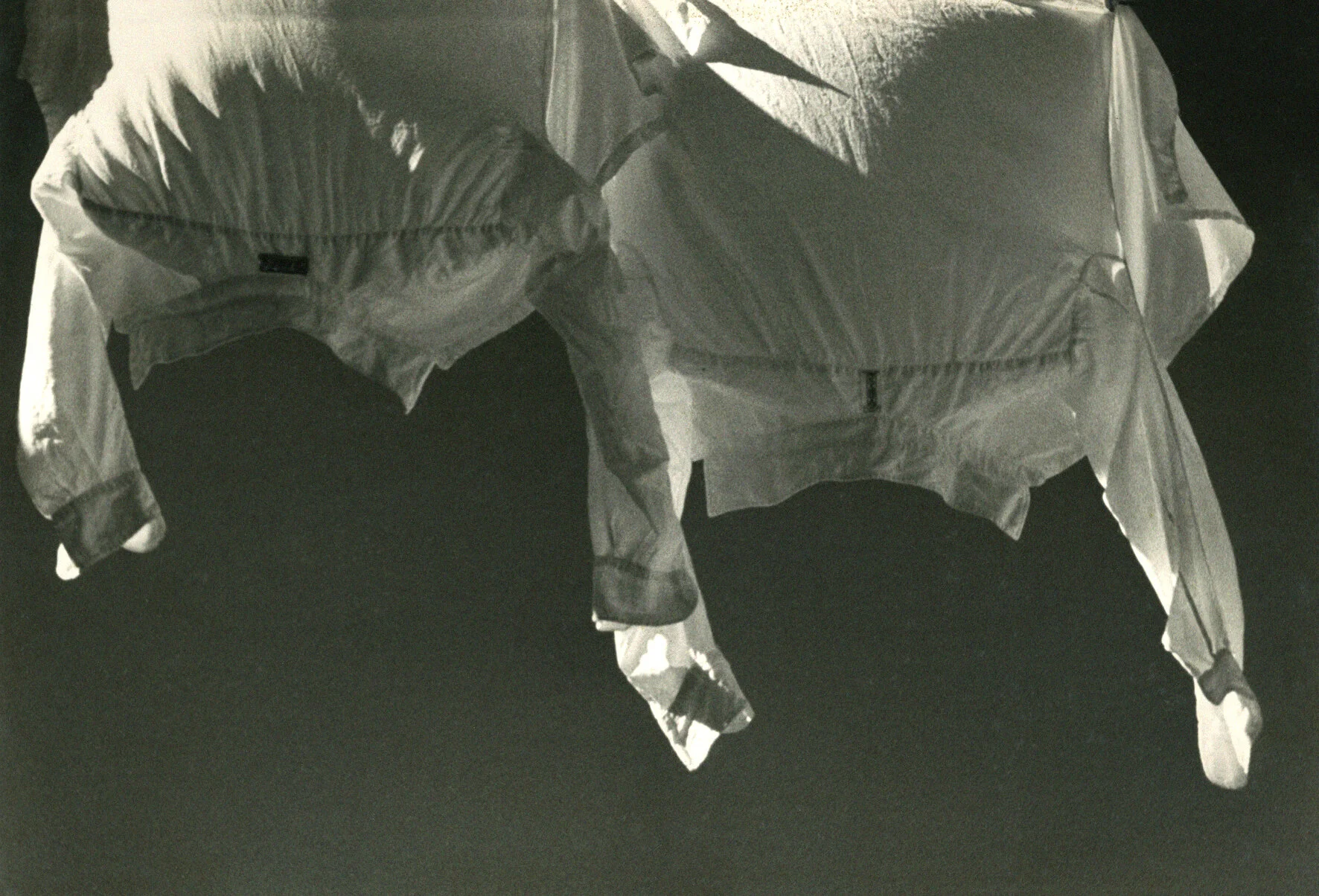 Sem título, c. 1960