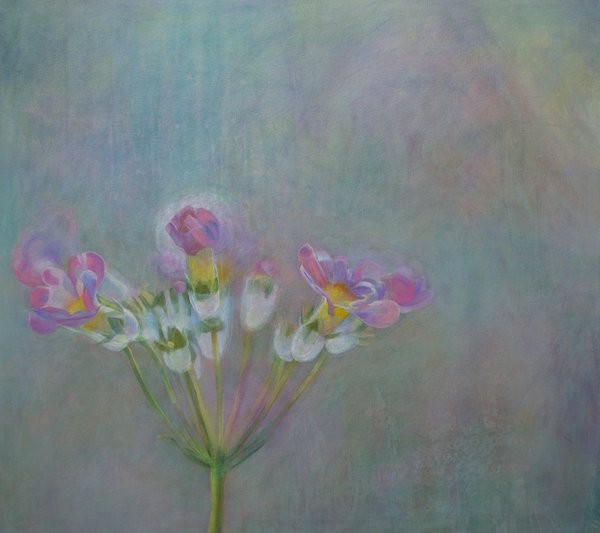 Alena Kennedy_Primula_2014.jpg