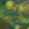 AK_YellowBloom_2013.jpg