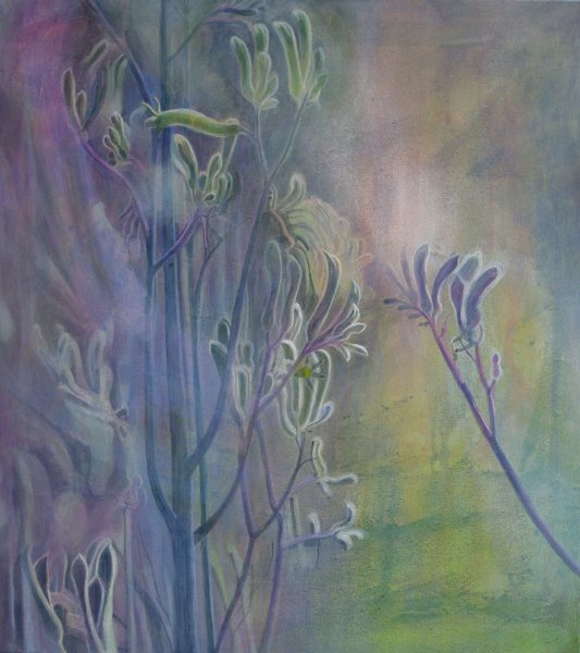 Alena Kennedy_Kangaroo Paw_2014.jpg