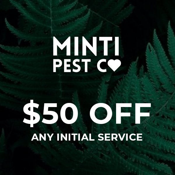 minti pest.jpg