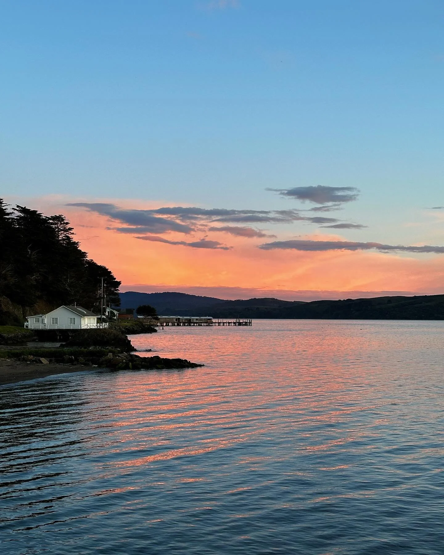 real good stuff lately 🌻