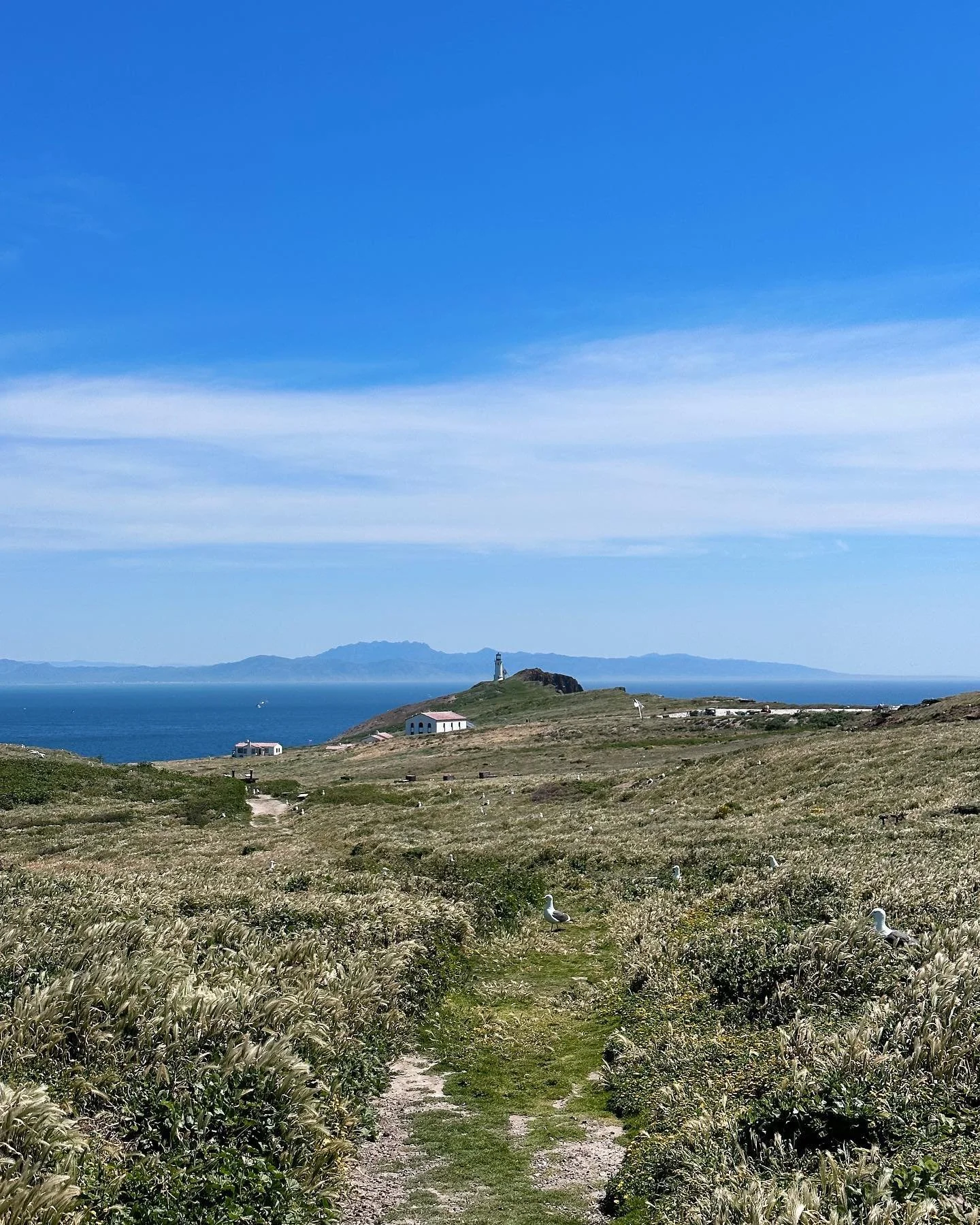 took myself on a lil date to anacapa
