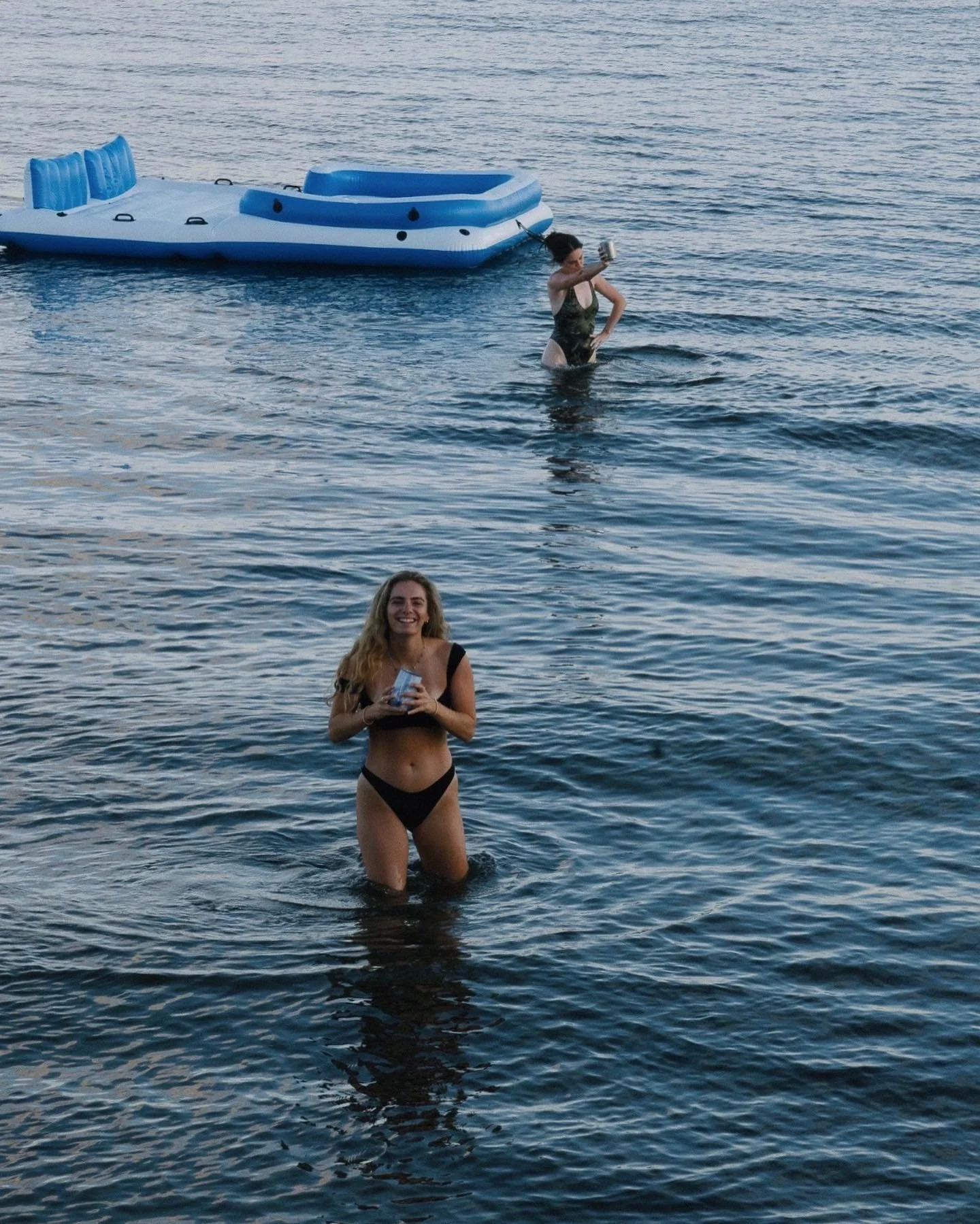 color scheme:🫐🍃🦕🐢🌿🗣