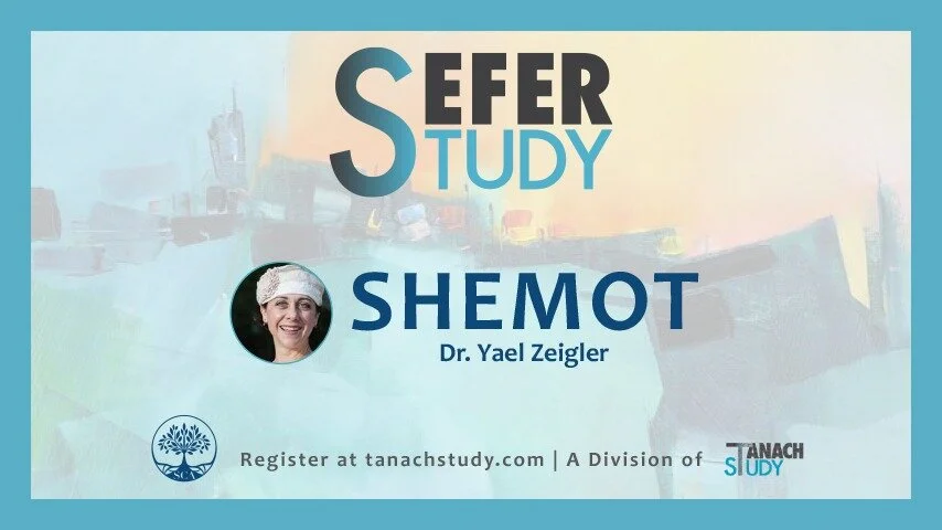 Sefer Study Torah — Tanach Study