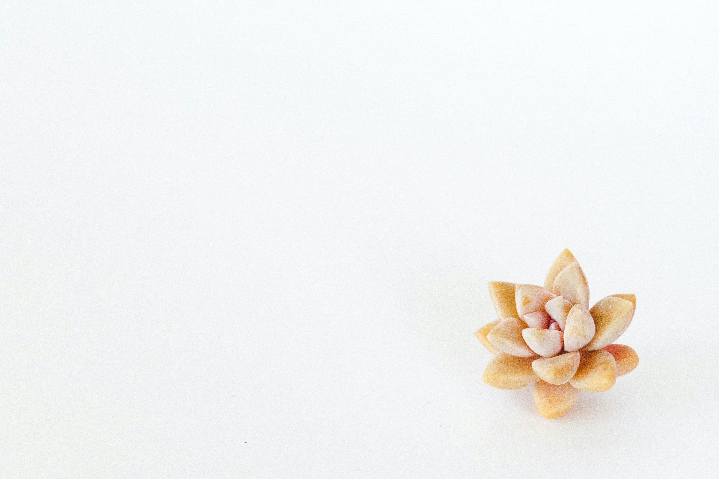 Learn about conditions therapeutic massage can help with.