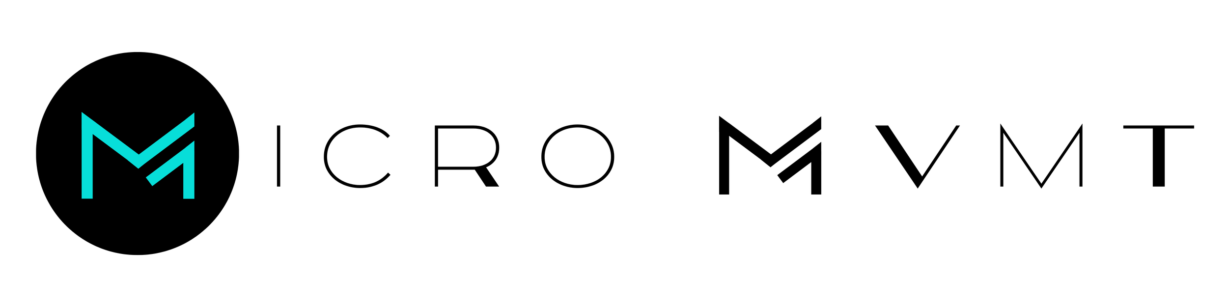 MICRO MVMT & HEALTH CO