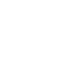 Support Guardian and child relationships