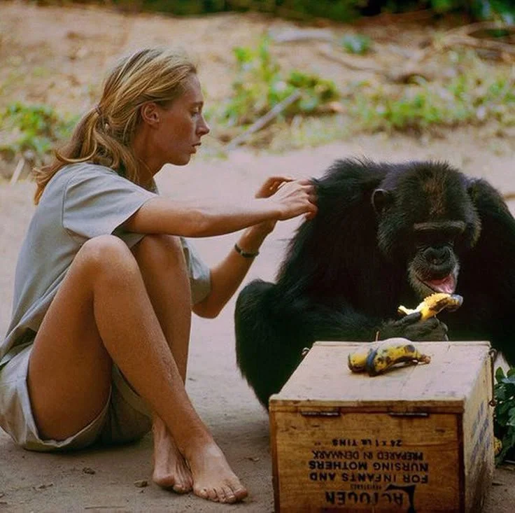 Not Just a Scientist: Jane Goodall in Sustainable Fashion